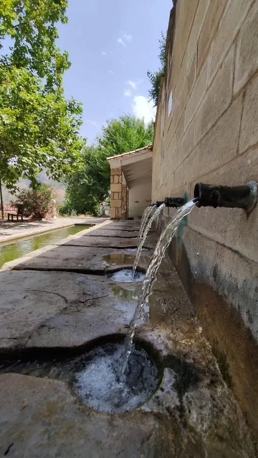 Albanchez de Úbeda Casa Fina 빌라